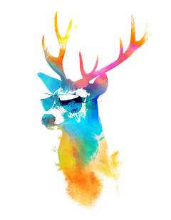 sunny stag