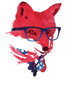 american fox