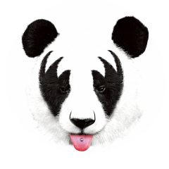 kiss of a panda
