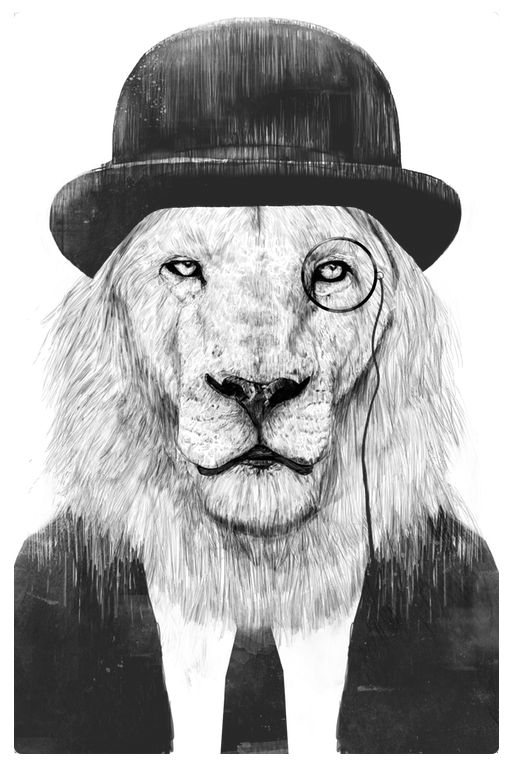 Poster sir lion